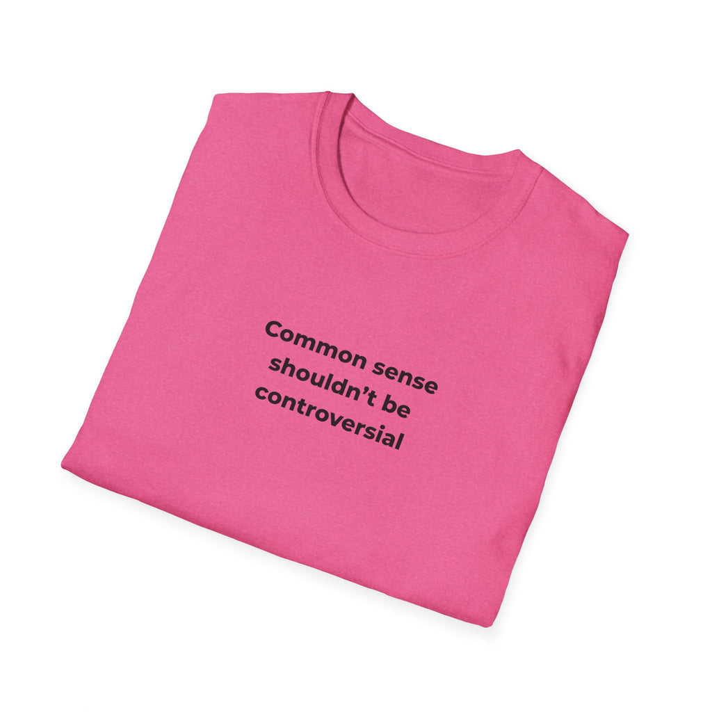 Soft Relaxed Men and Womens Tee - Common Sense