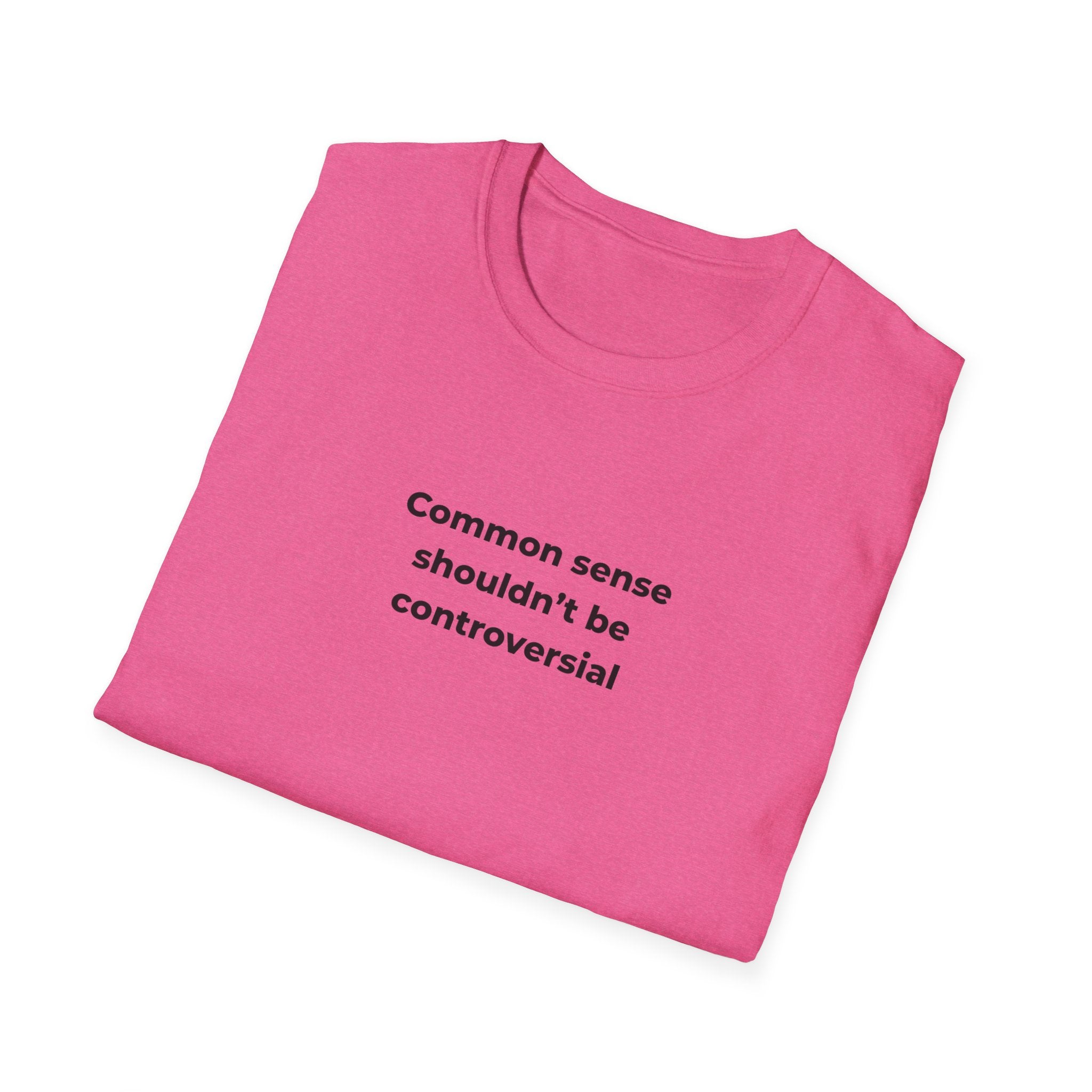 Soft Relaxed Men and Womens Tee - Common Sense