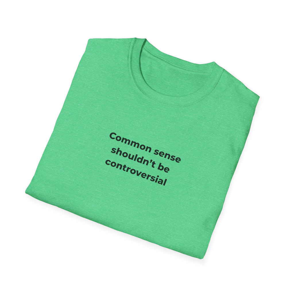 Soft Relaxed Men and Womens Tee - Common Sense