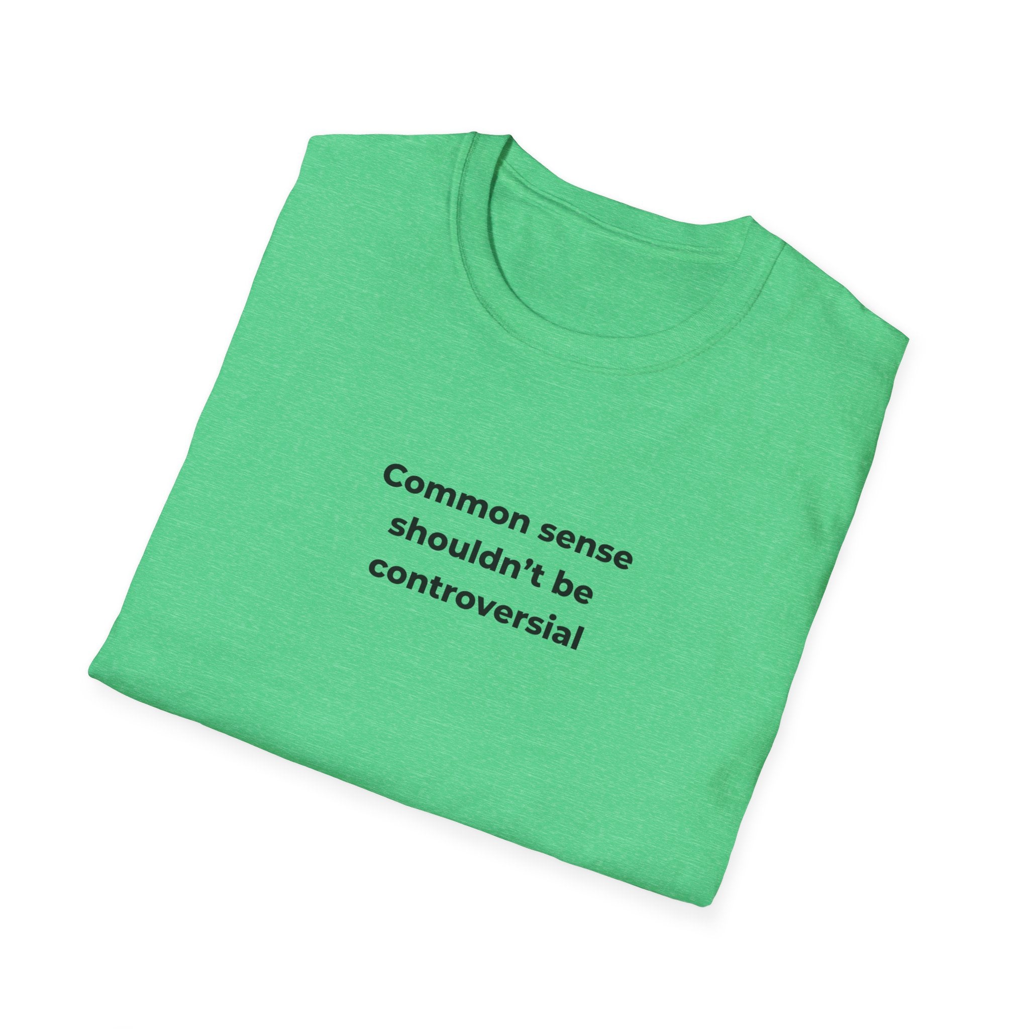 Soft Relaxed Men and Womens Tee - Common Sense