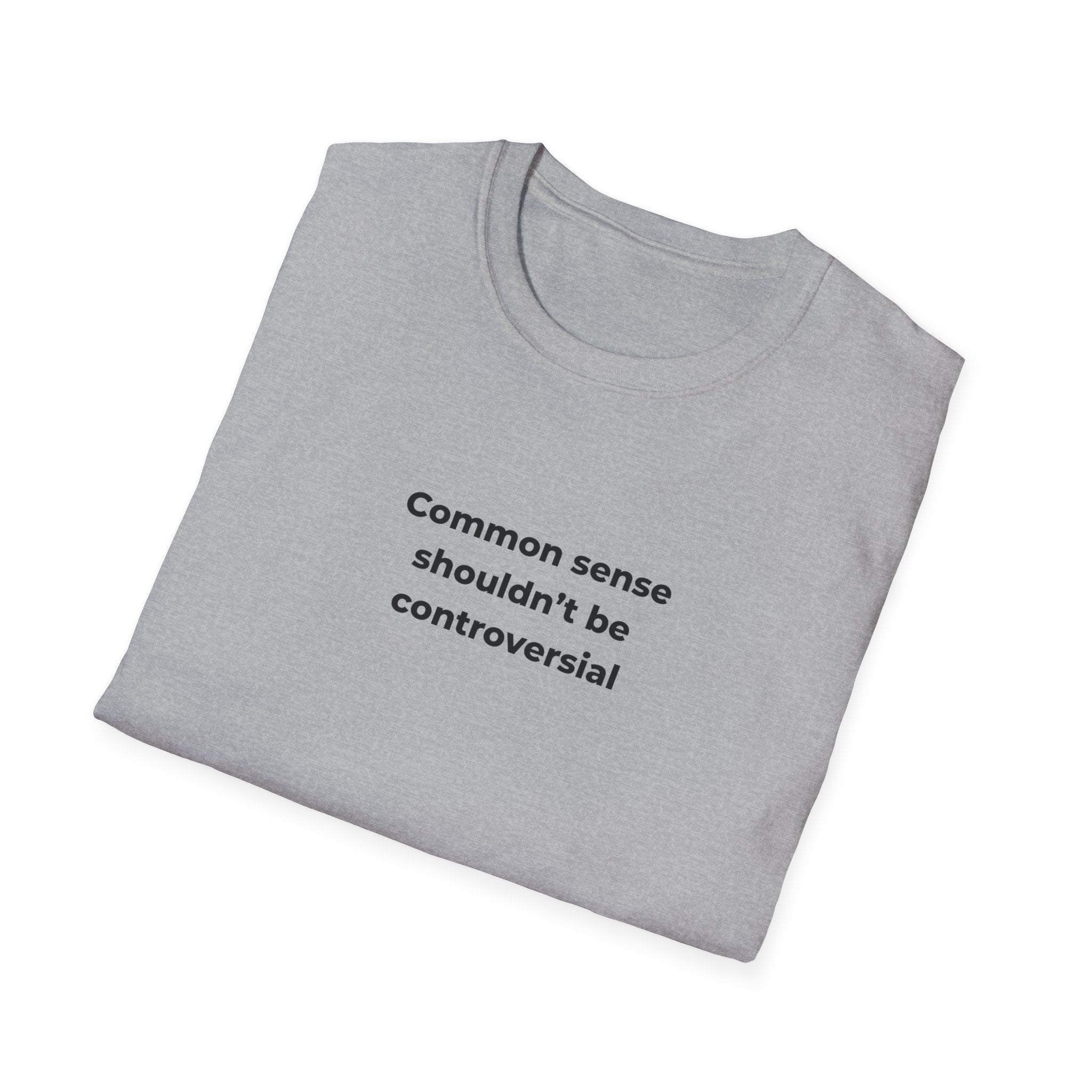 Soft Relaxed Men and Womens Tee - Common Sense