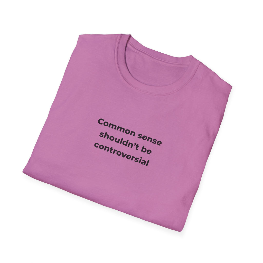 Soft Relaxed Men and Womens Tee - Common Sense