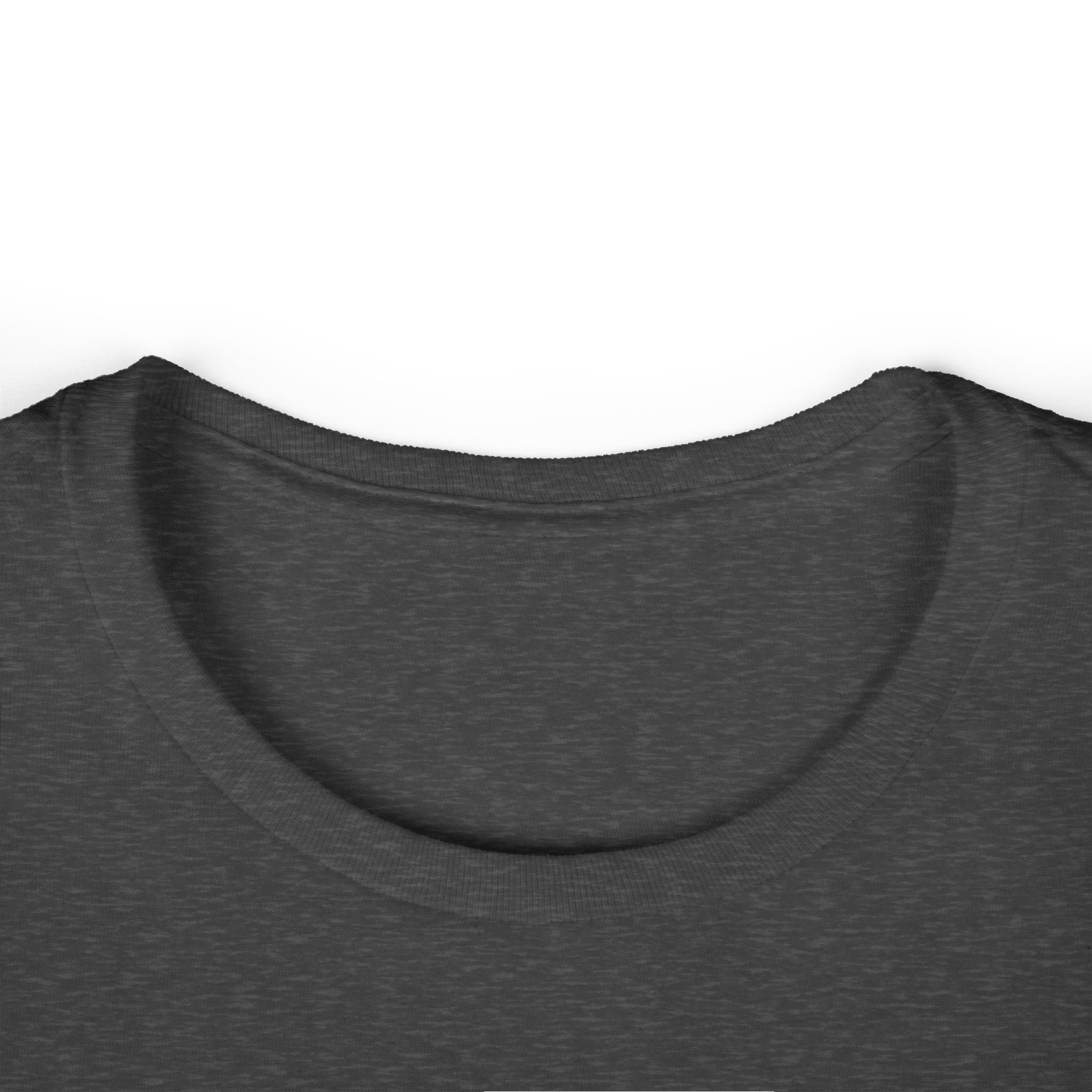 Women's Softstyle Fitted T Shirt - Travel Math