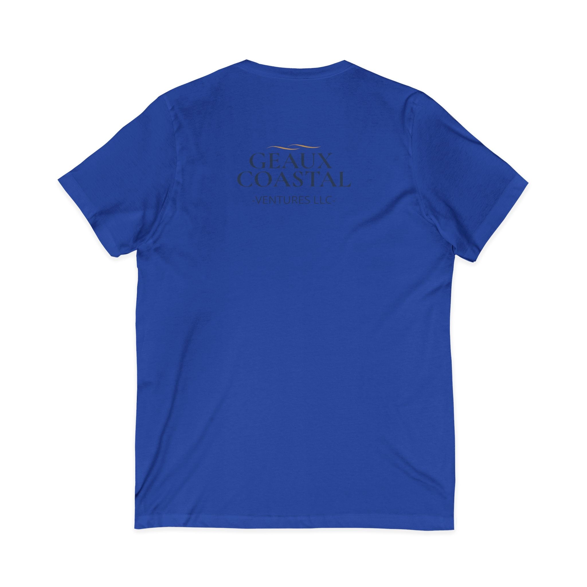Ladies Jersey Short Sleeve V-Neck Tee- SOFT - Fitted - What is wine is addicted to me