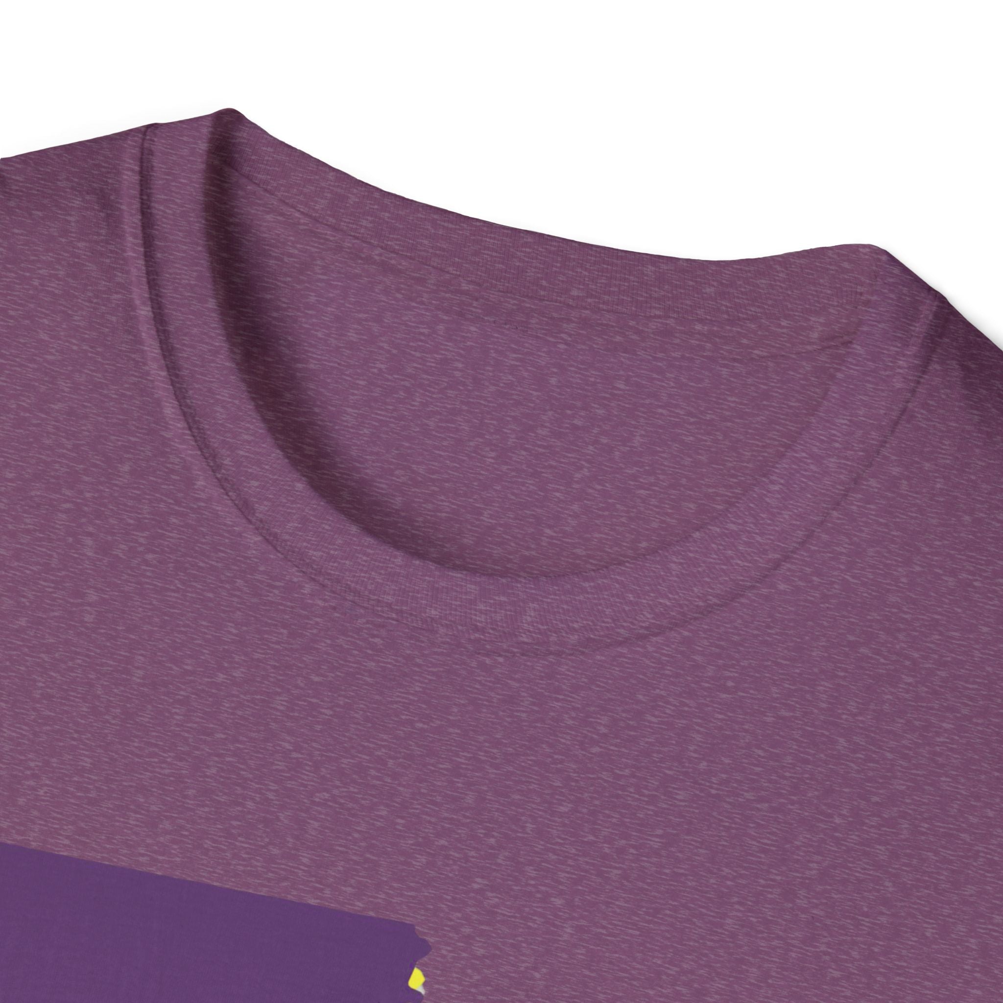 Soft Tee "House Divided"  Men & Women "LSU" "Aggies"