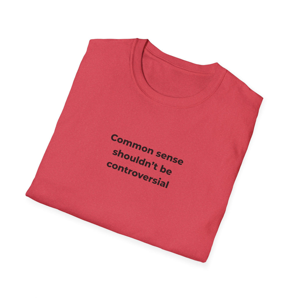 Soft Relaxed Men and Womens Tee - Common Sense