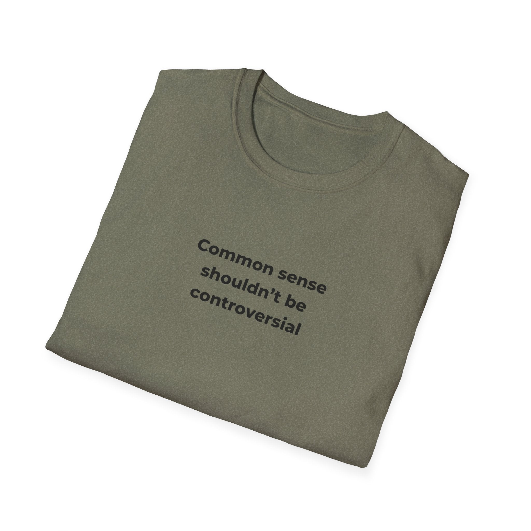 Soft Relaxed Men and Womens Tee - Common Sense