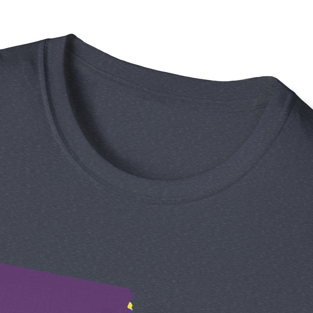 Soft Tee "House Divided"  Men & Women "LSU" "Aggies"