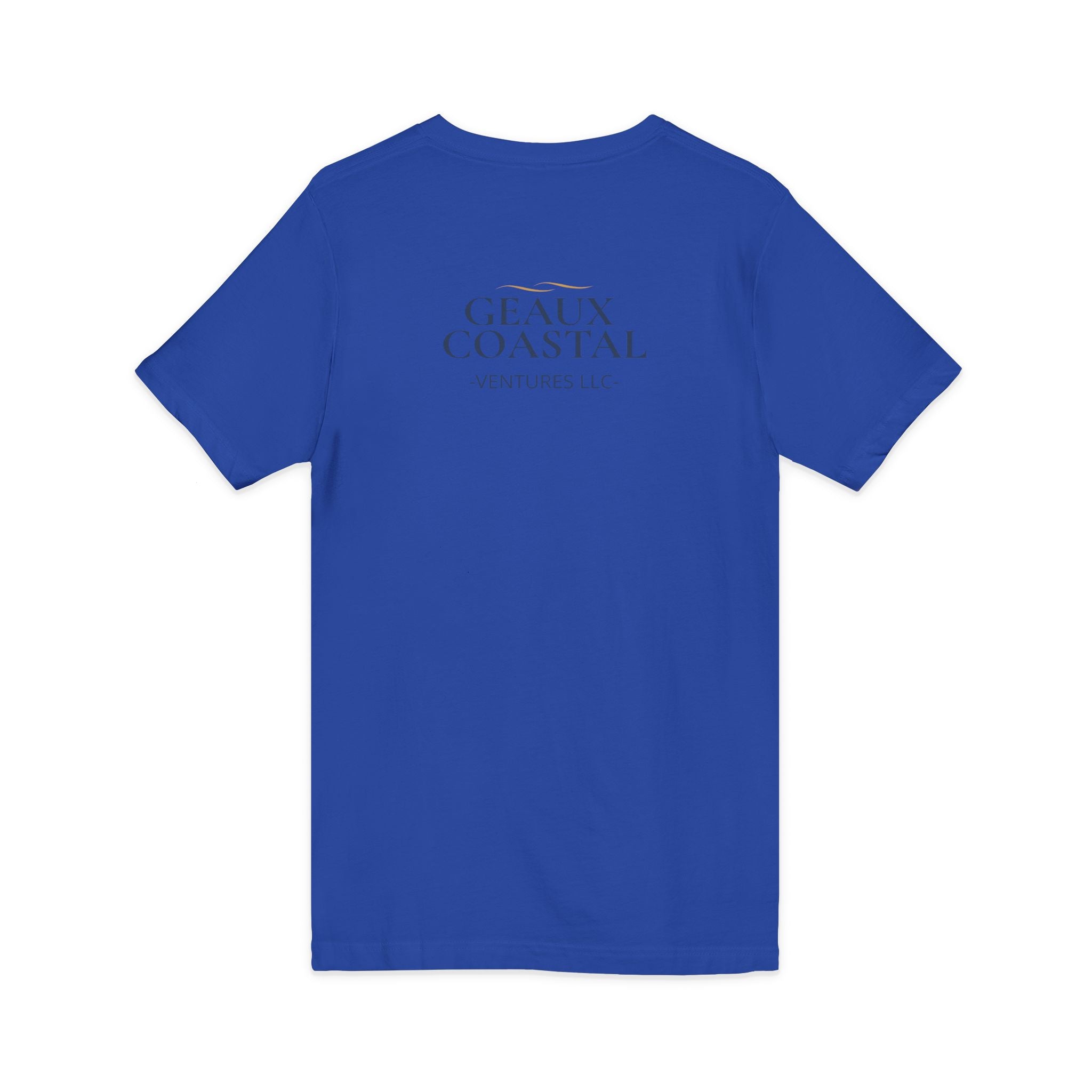 Ladies Jersey Short Sleeve V-Neck Tee- SOFT - Fitted - What is wine is addicted to me