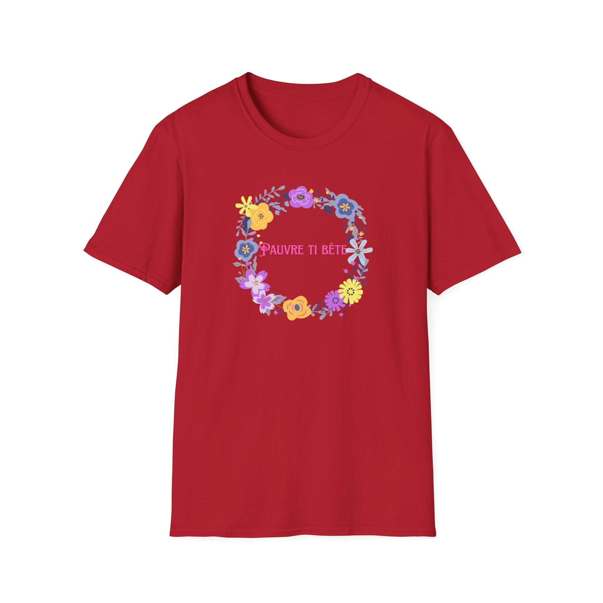 Ladies More Relaxed Soft T Shirt - Pauvre ti bête