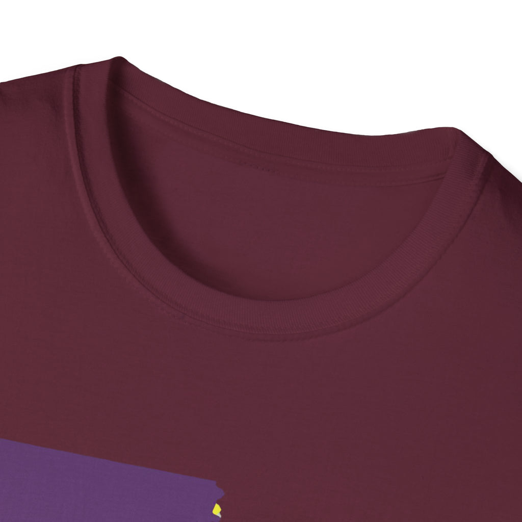 Soft Tee "House Divided"  Men & Women "LSU" "Aggies"