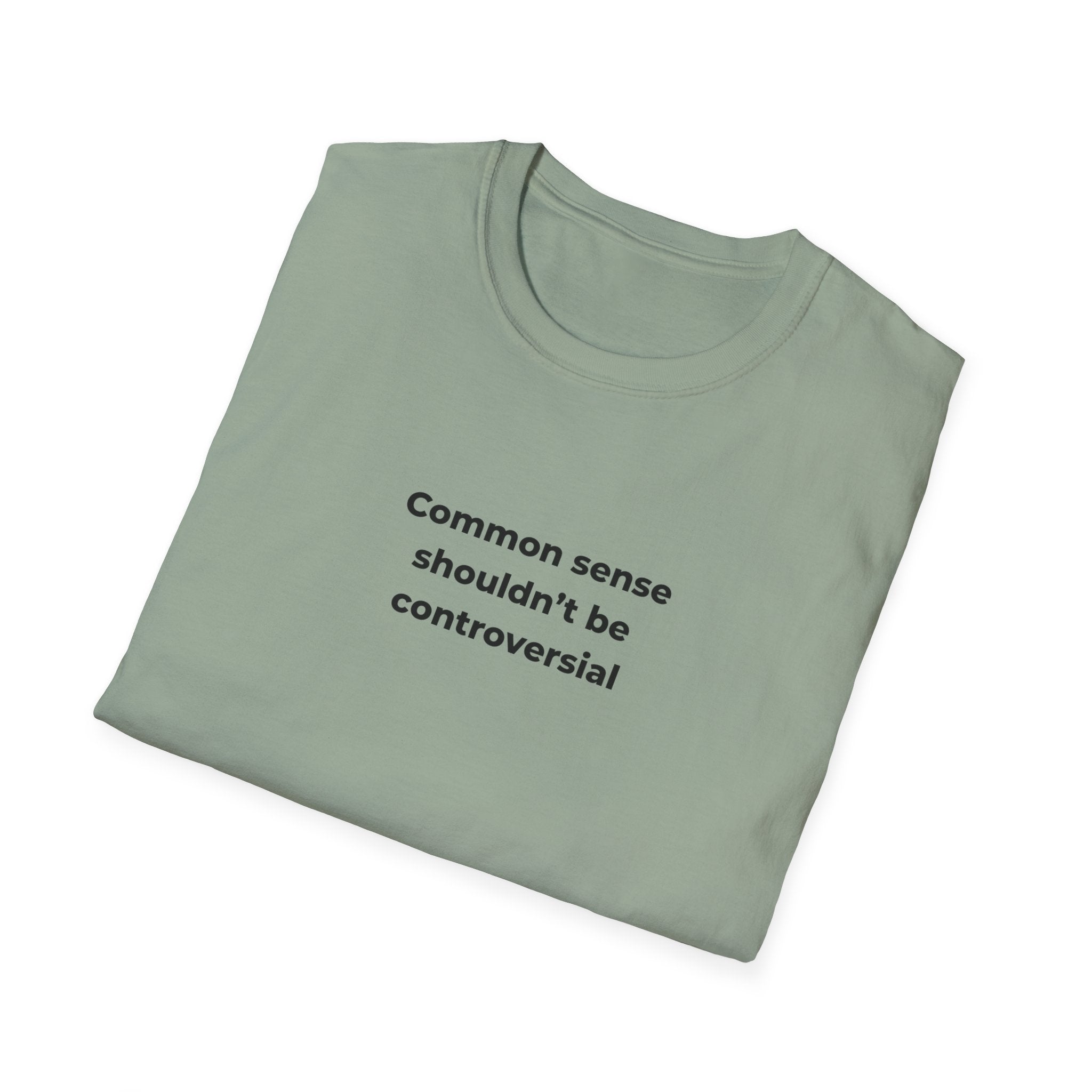 Soft Relaxed Men and Womens Tee - Common Sense