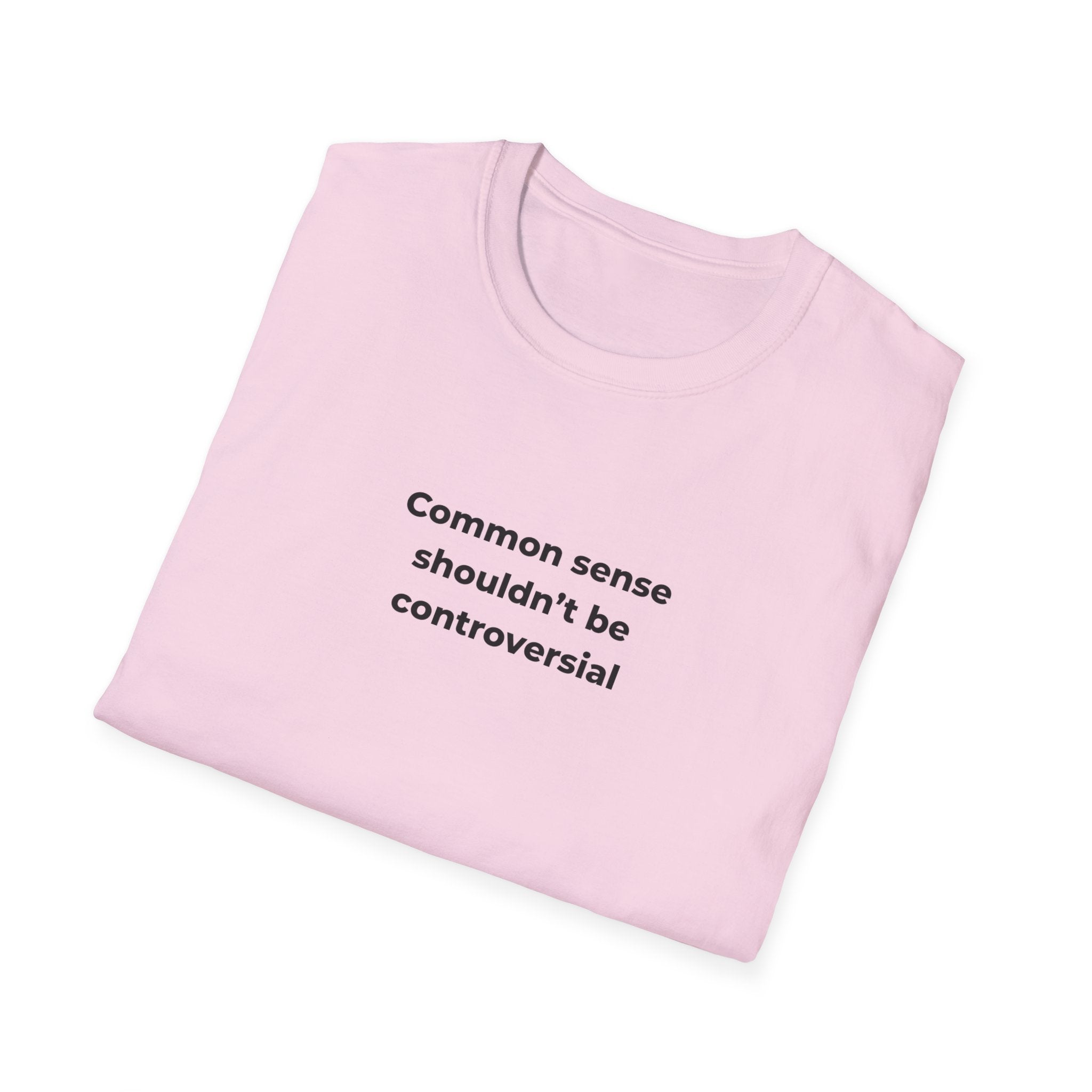 Soft Relaxed Men and Womens Tee - Common Sense