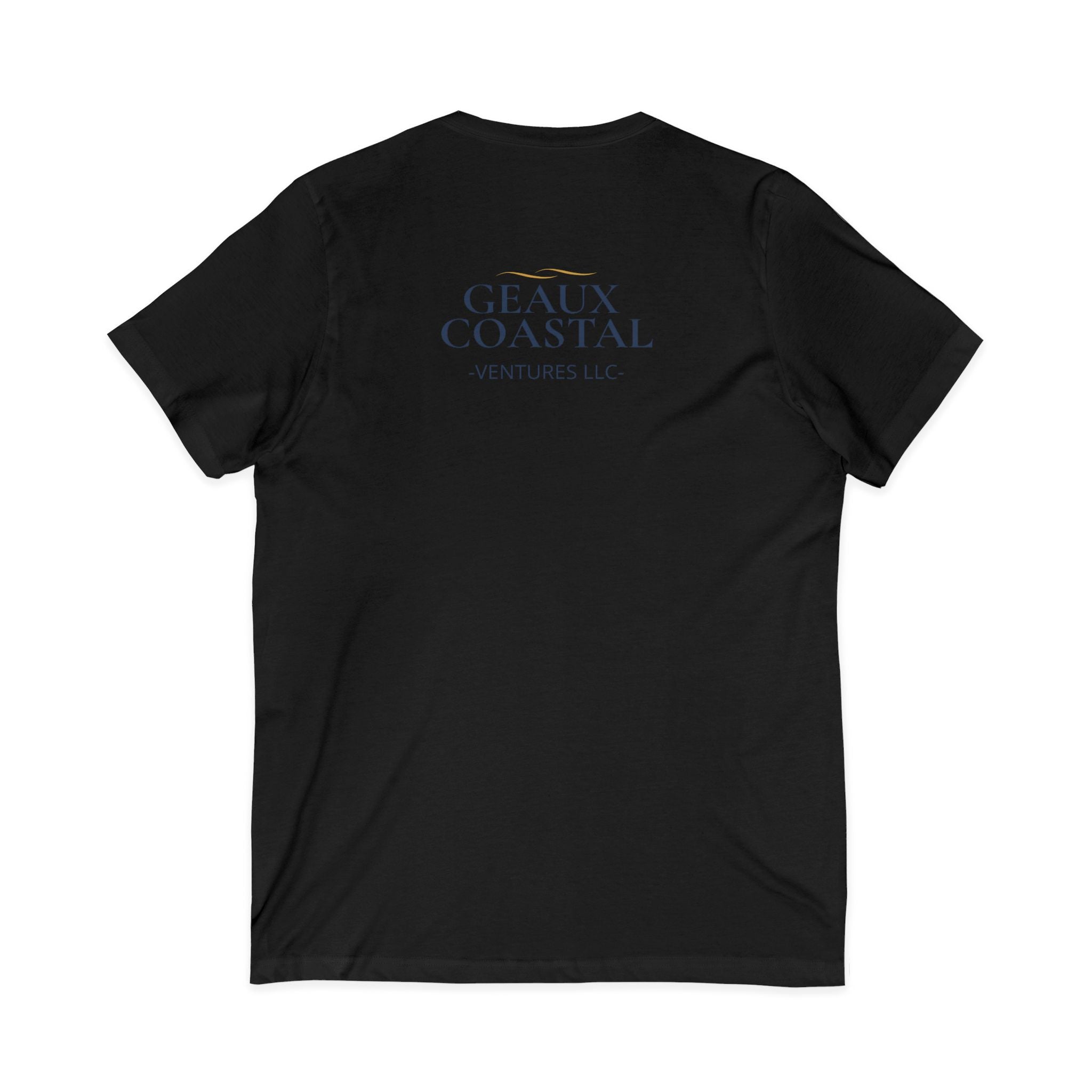 Ladies Jersey Short Sleeve V-Neck Tee- SOFT - Fitted - What is wine is addicted to me