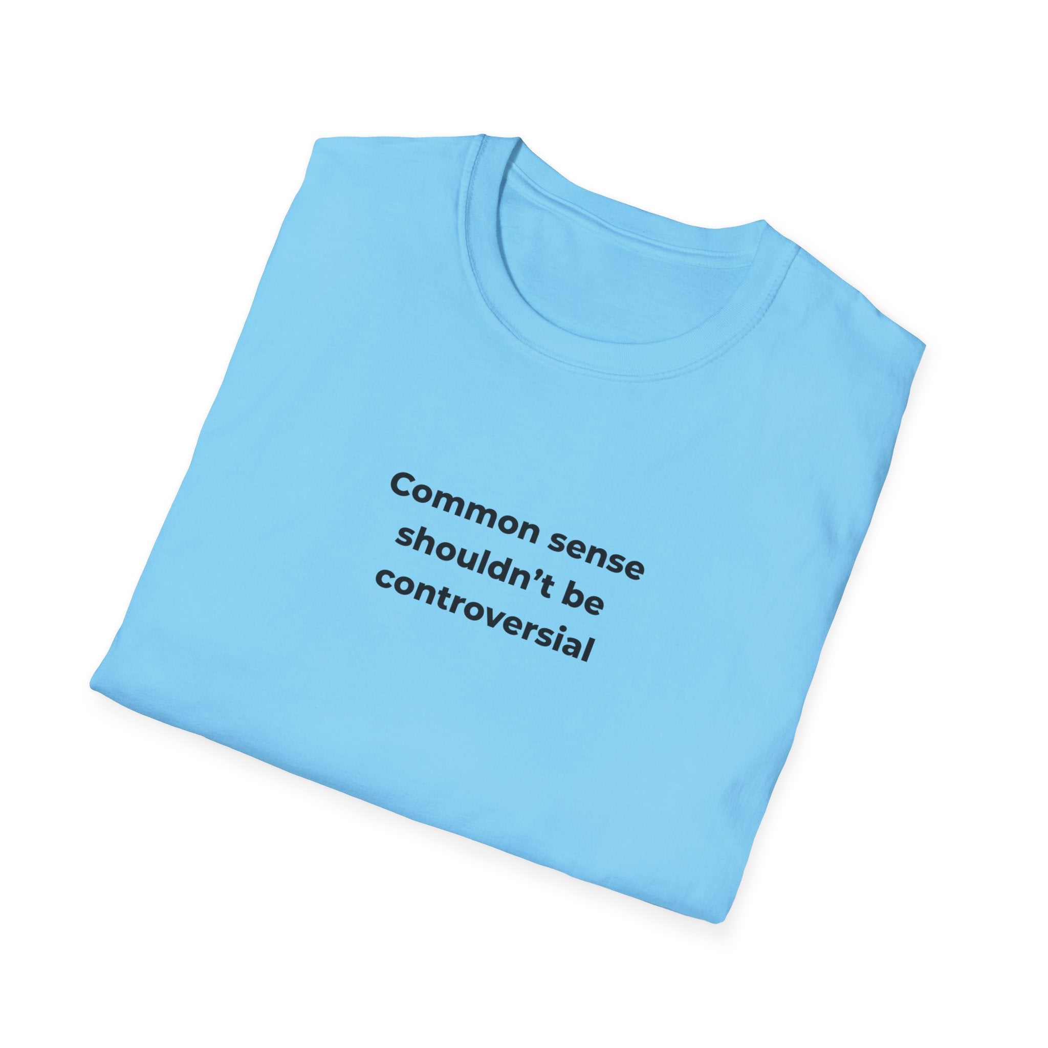 Soft Relaxed Men and Womens Tee - Common Sense