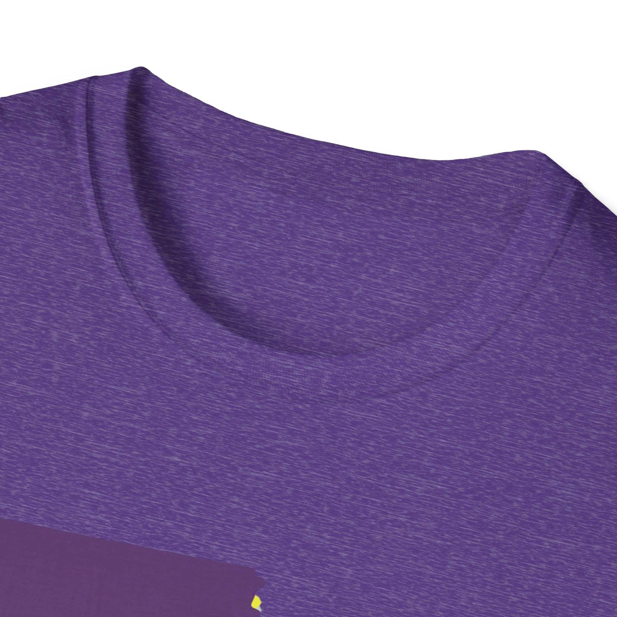 Soft Tee "House Divided"  Men & Women "LSU" "Aggies"