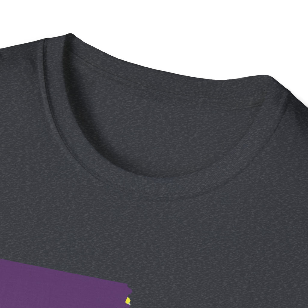 Soft Tee "House Divided"  Men & Women "LSU" "Aggies"