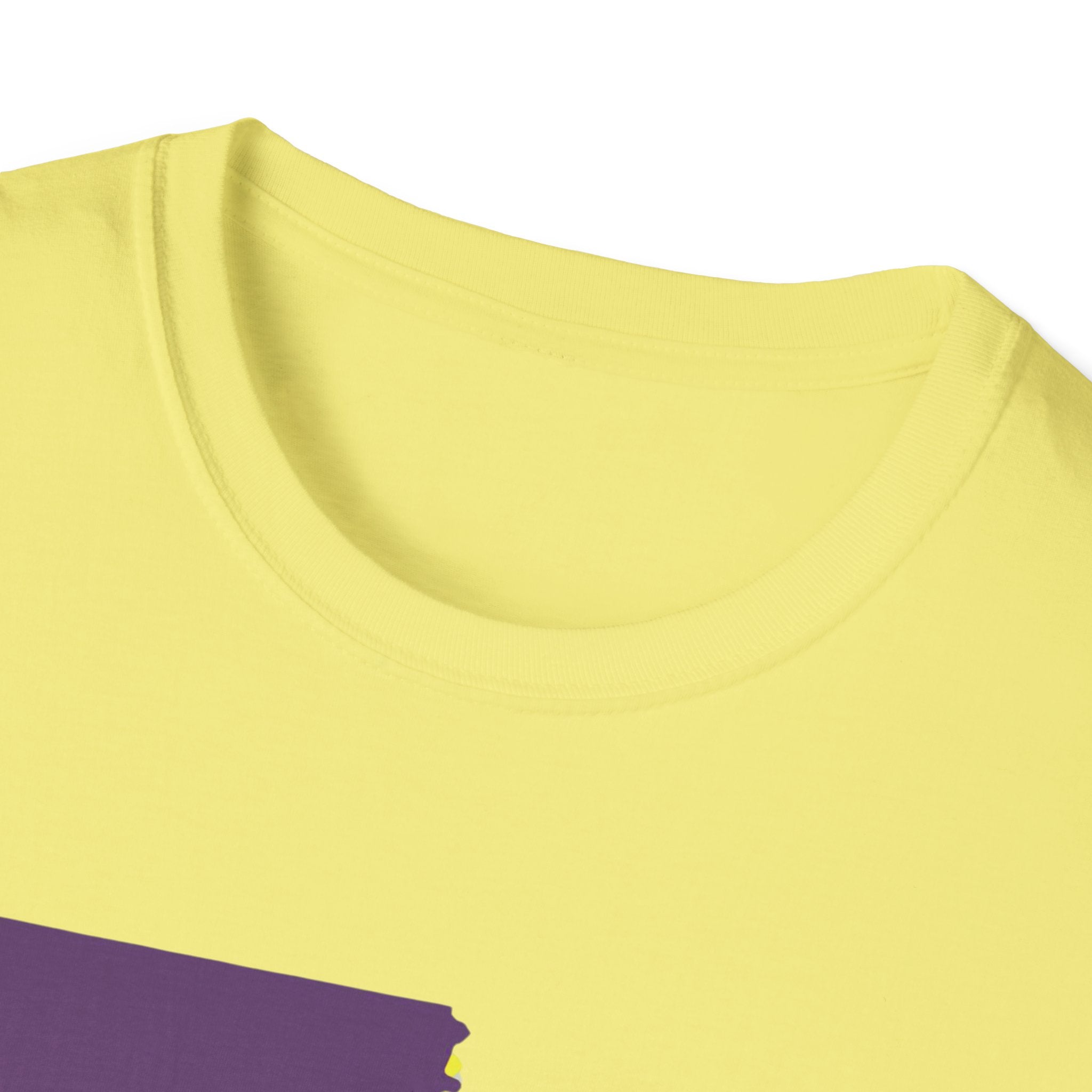 Soft Tee "House Divided"  Men & Women "LSU" "Aggies"