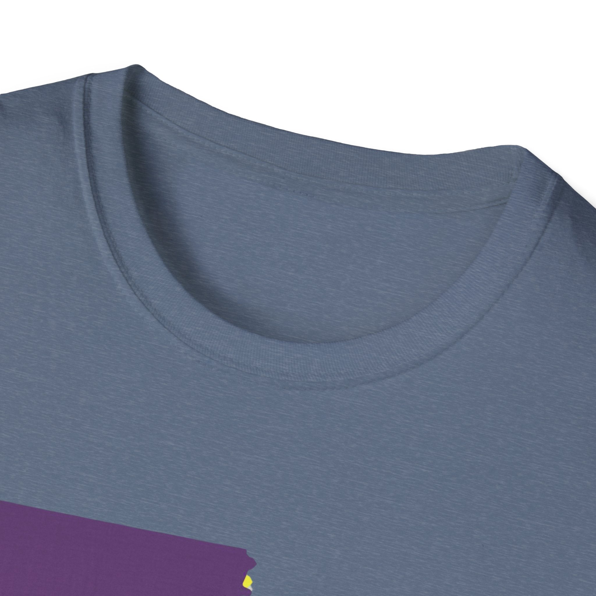 Soft Tee "House Divided"  Men & Women "LSU" "Aggies"