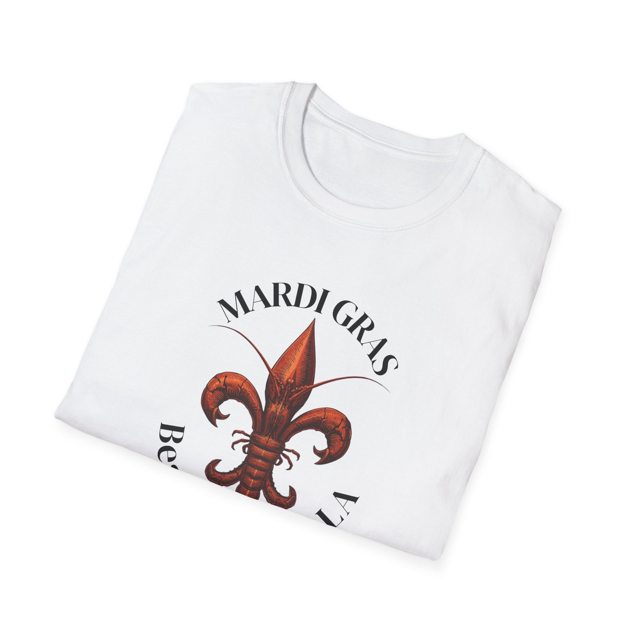 relaxed mens tee - beaux bridge mardi gras