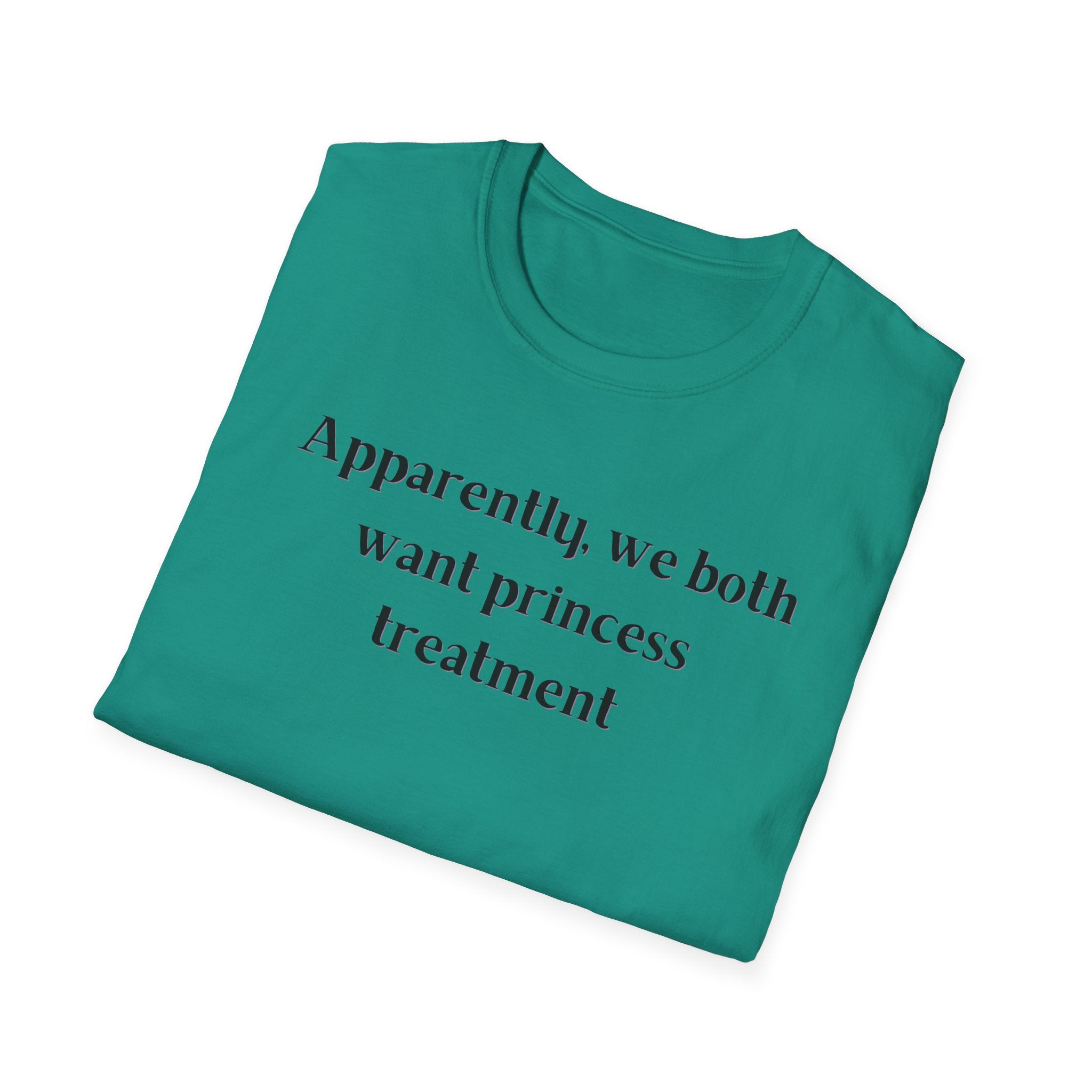 Men and Women Soft Relaxed T Shirt - Apparently We both Want Princess Treatment