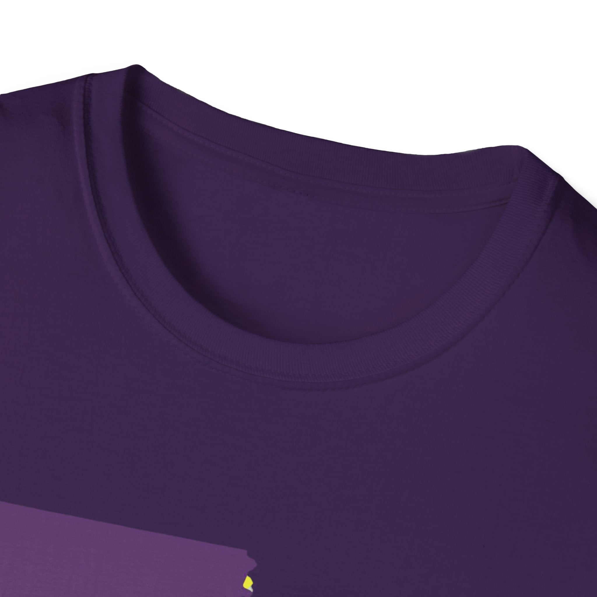 Soft Tee "House Divided"  Men & Women "LSU" "Aggies"