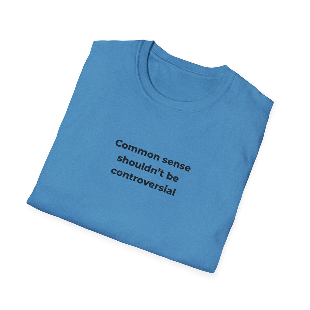 Soft Relaxed Men and Womens Tee - Common Sense