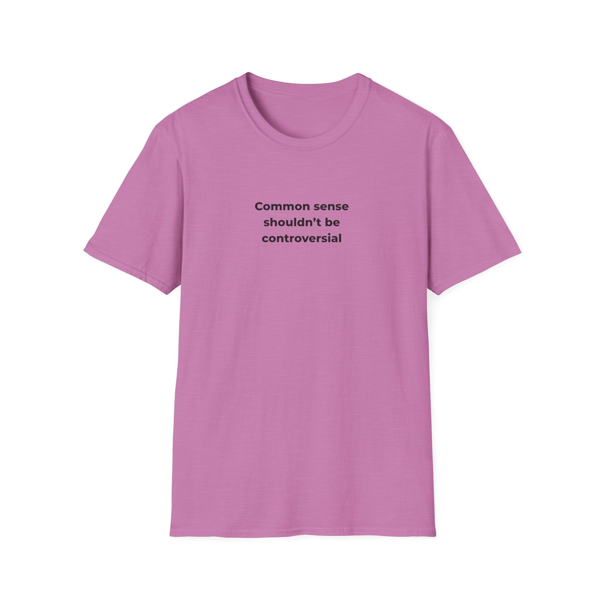 Soft Relaxed Men and Womens Tee - Common Sense
