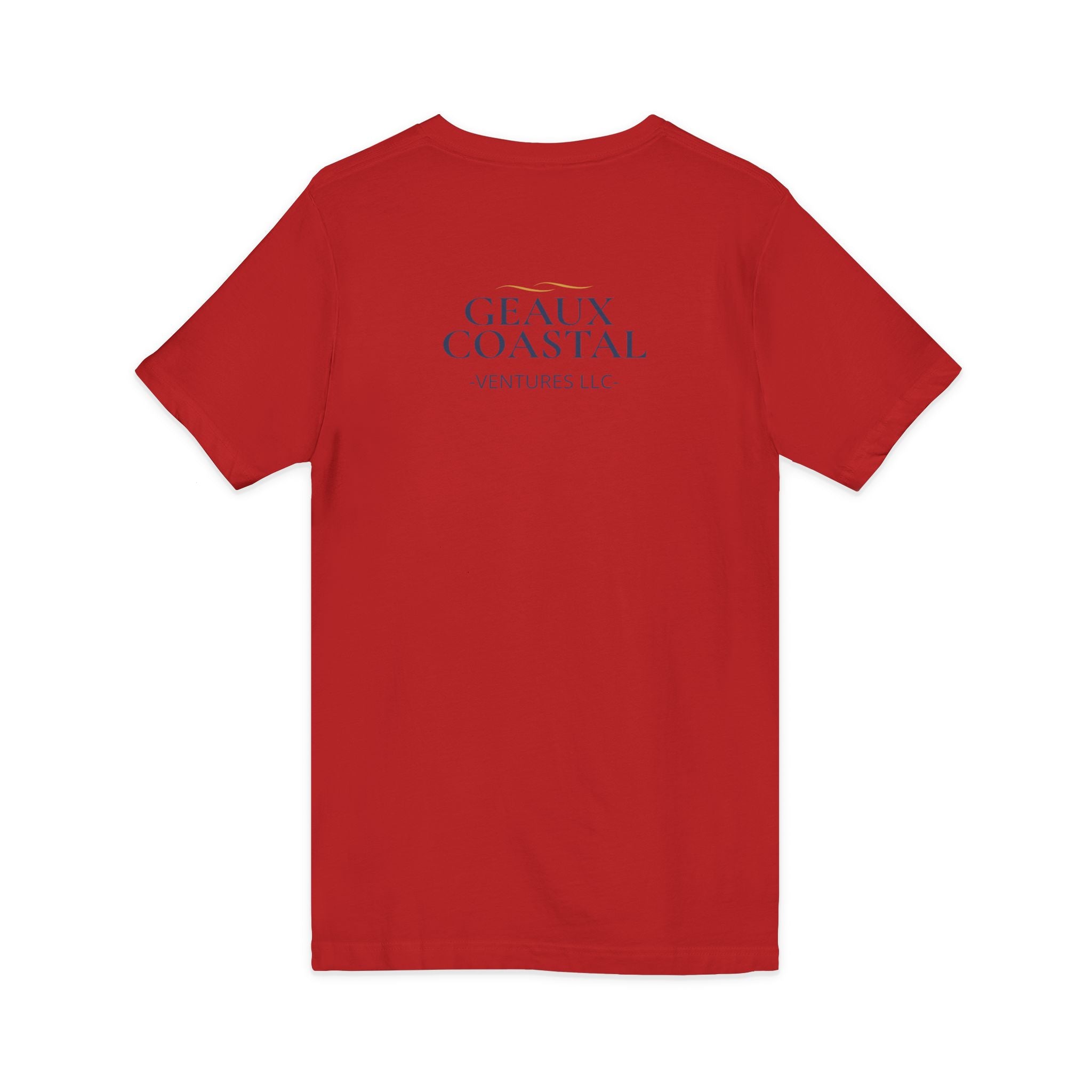 Ladies Jersey Short Sleeve V-Neck Tee- SOFT - Fitted - What is wine is addicted to me