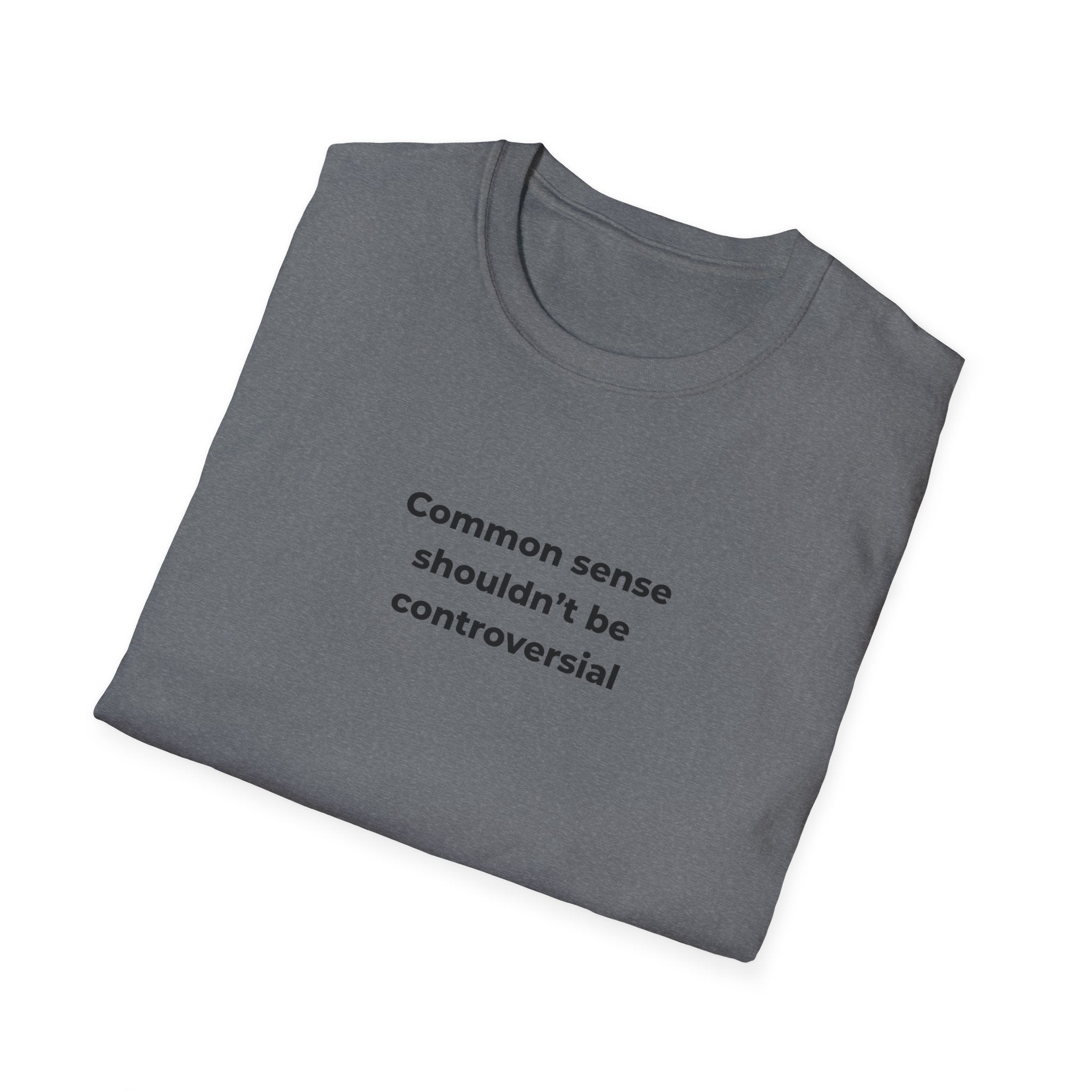 Soft Relaxed Men and Womens Tee - Common Sense