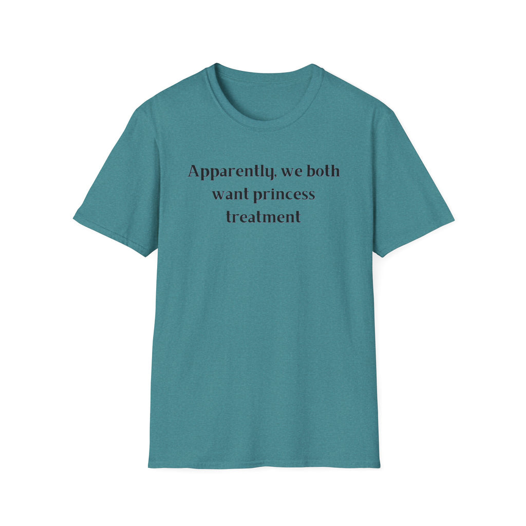 Men and Women Soft Relaxed T Shirt - Apparently We both Want Princess Treatment