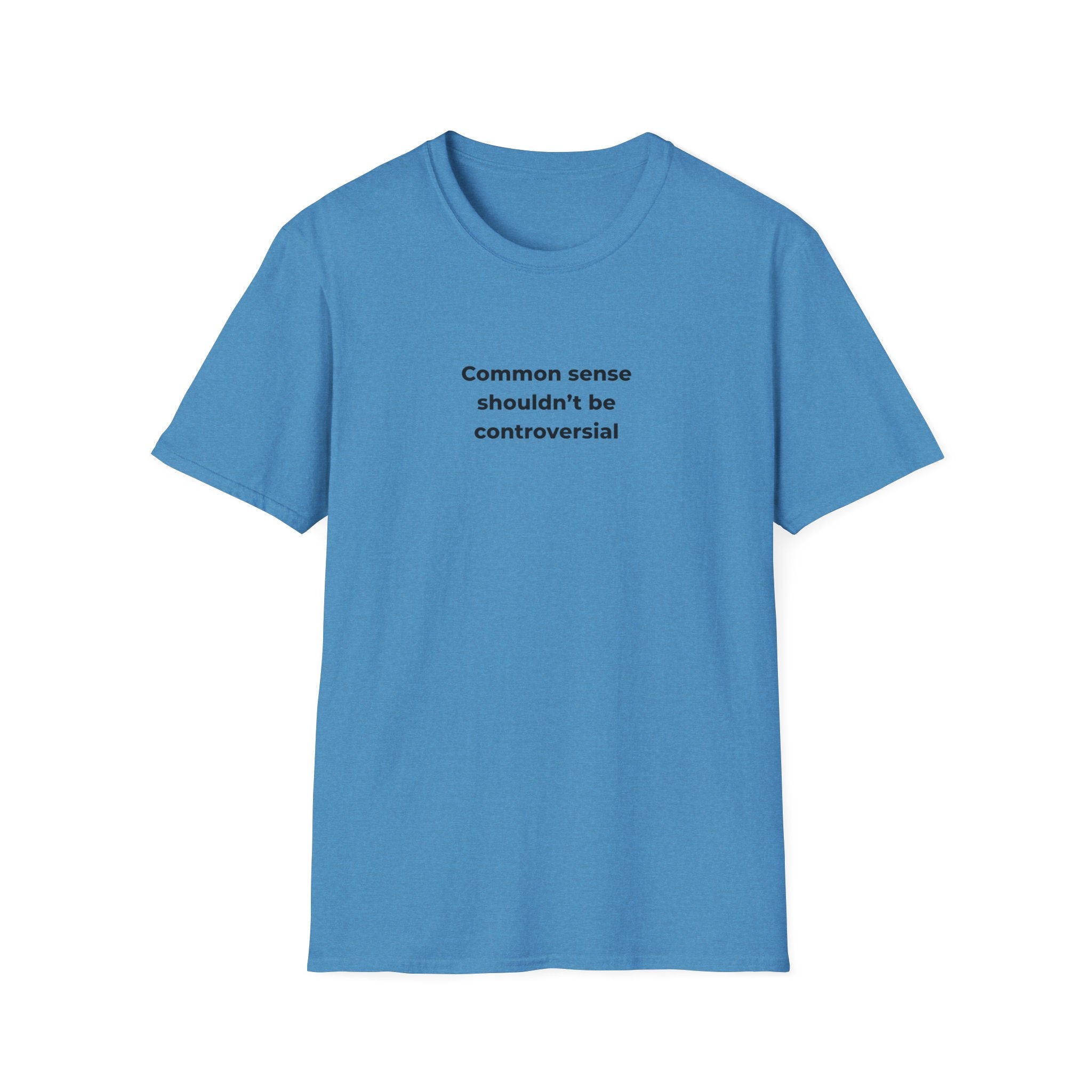 Soft Relaxed Men and Womens Tee - Common Sense