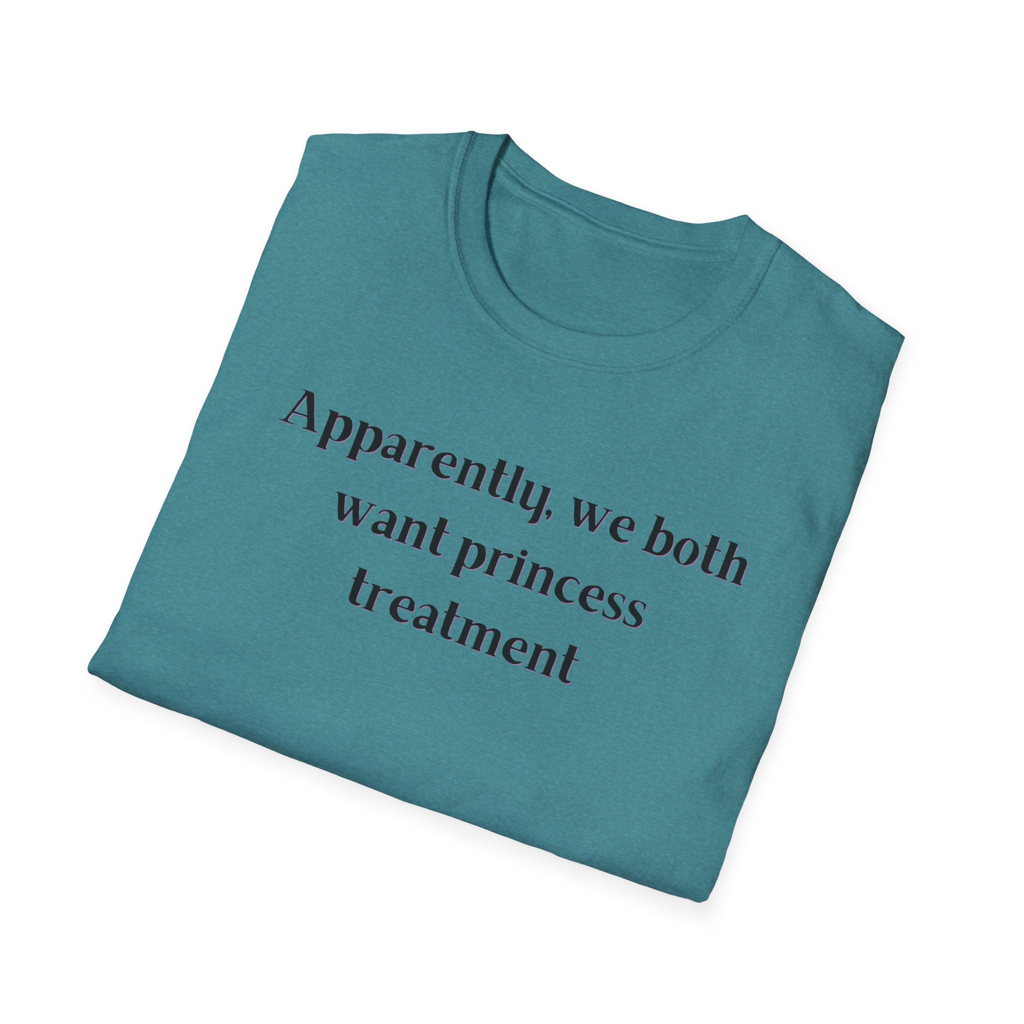 Men and Women Soft Relaxed T Shirt - Apparently We both Want Princess Treatment