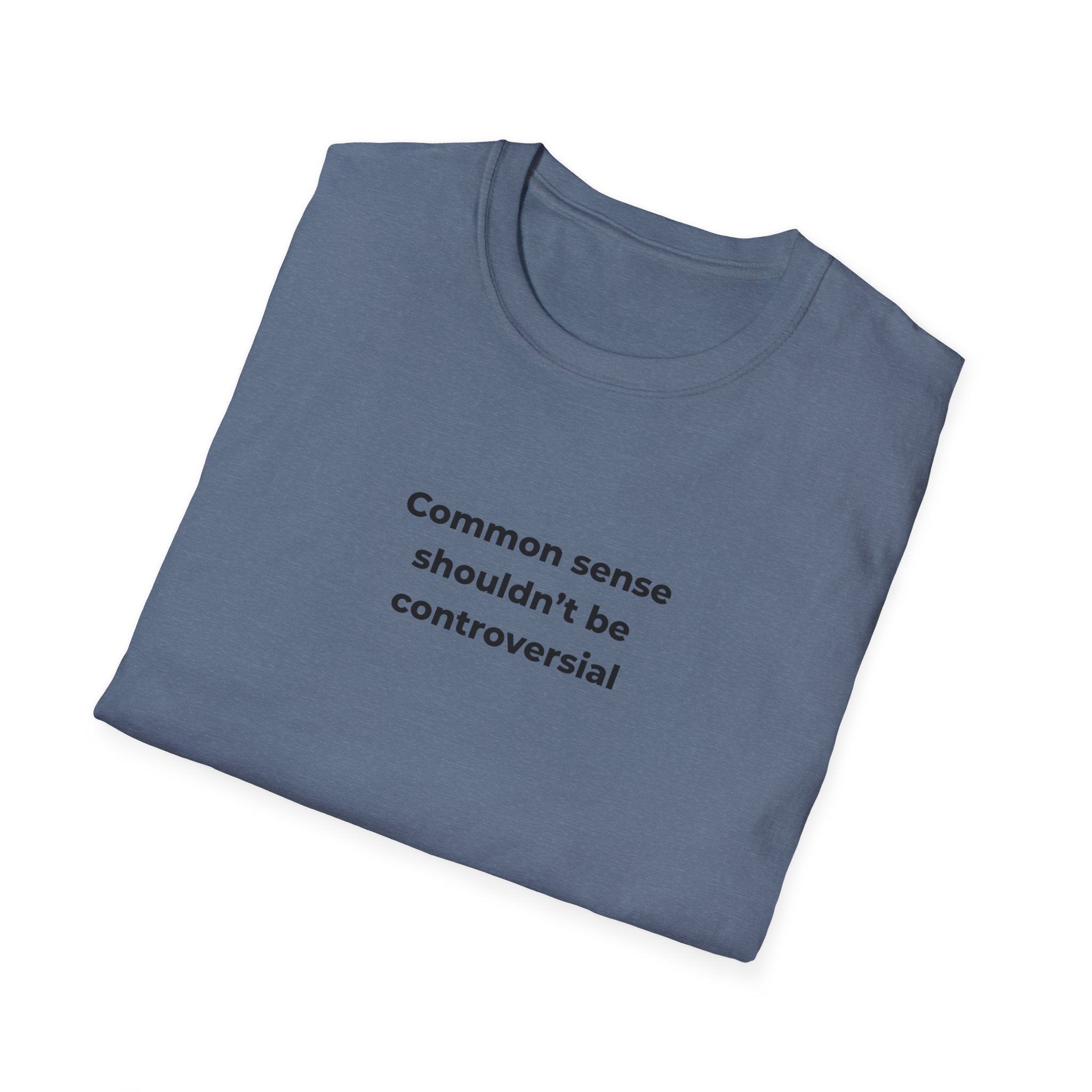 Soft Relaxed Men and Womens Tee - Common Sense
